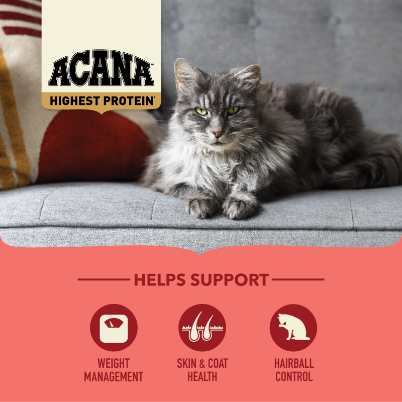 Купити корм для кота ACANA Highest Protein Indoor Cat